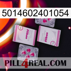 5014602401054 33